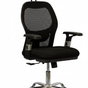 Executive Director Chair