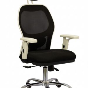 Executive Director Chair