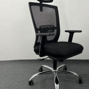Model-Np-1701